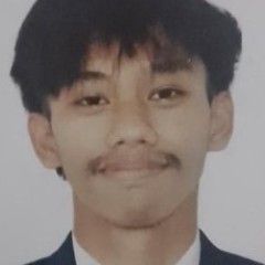 GERALD V. NIAGA