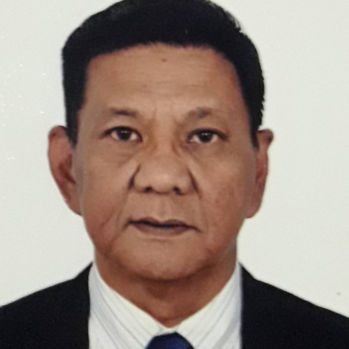 Meynardo Jr Castillo