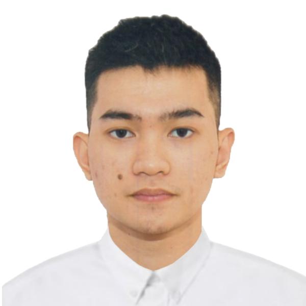 PAUL ROBERTO LEE