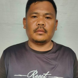 Ronald John Abadies