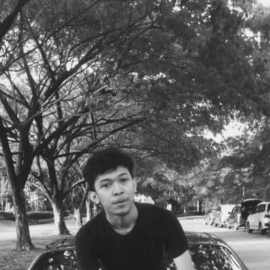 Muhammad Taqiyuddien